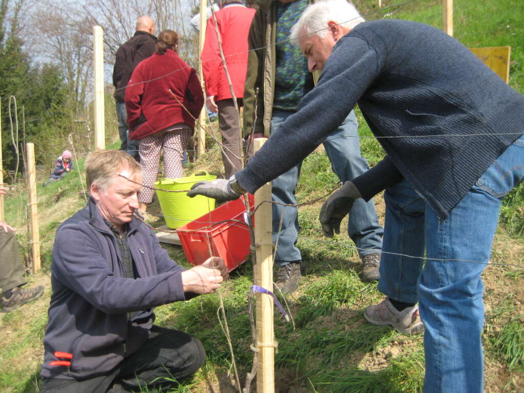 Obstbaumaktion Saison 2023/24
