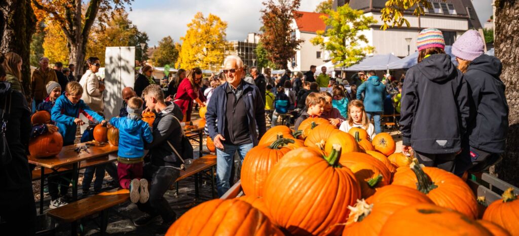 Kürbisfest mit Kindern schnitzen Kürbisse vor herbstlicher Kulisse in Österreich